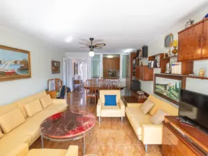 Salón con sofás y comedor